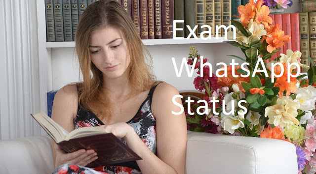 300+ Funny Exam WhatsApp Status In Hindi, English for YOU 300+ Funny Exam WhatsApp Status In Hindi, English for YOU